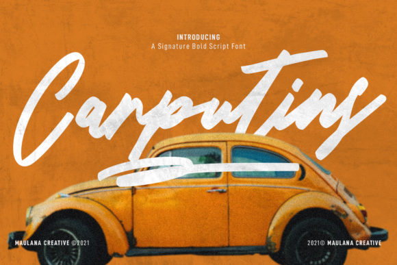 Carputins Signature: A Designer's Practical Review